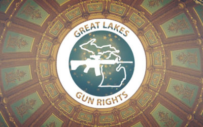 Michigan Gun Laws