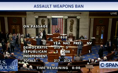 Pelosi’s House Passes So-Called “Assault Weapons” Ban