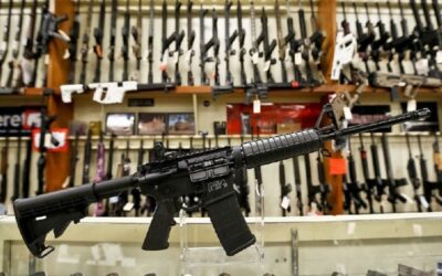 Appeals Court Upholds Maryland’s “Assault Weapons” Ban